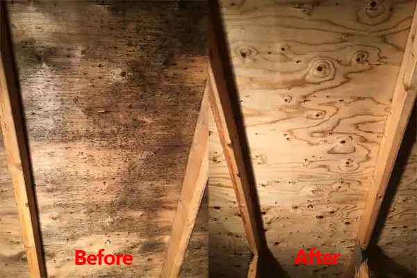 water damage restoration service Deming
